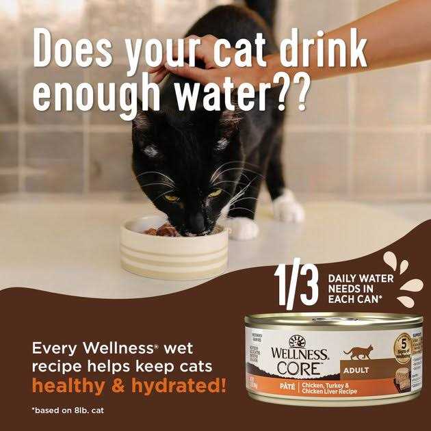 Chicken & Turkey Pate Variety Pack Wet Cat Food G43237