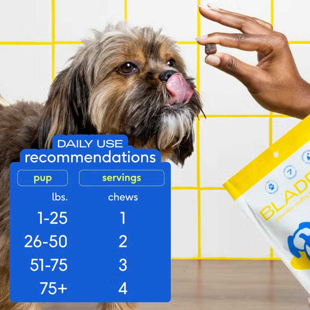 Air Dried Dog Chews Bladder V232
