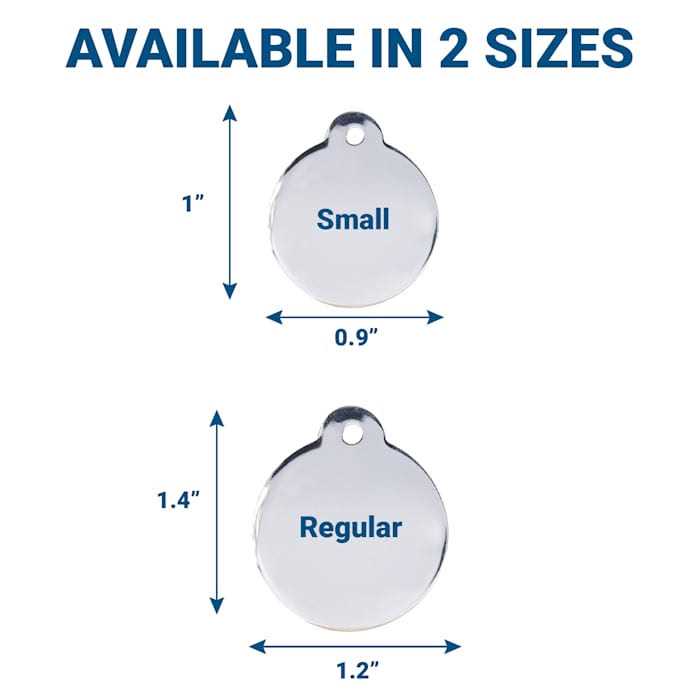 Stainless Steel Personalized Dog & Cat ID Tag D521