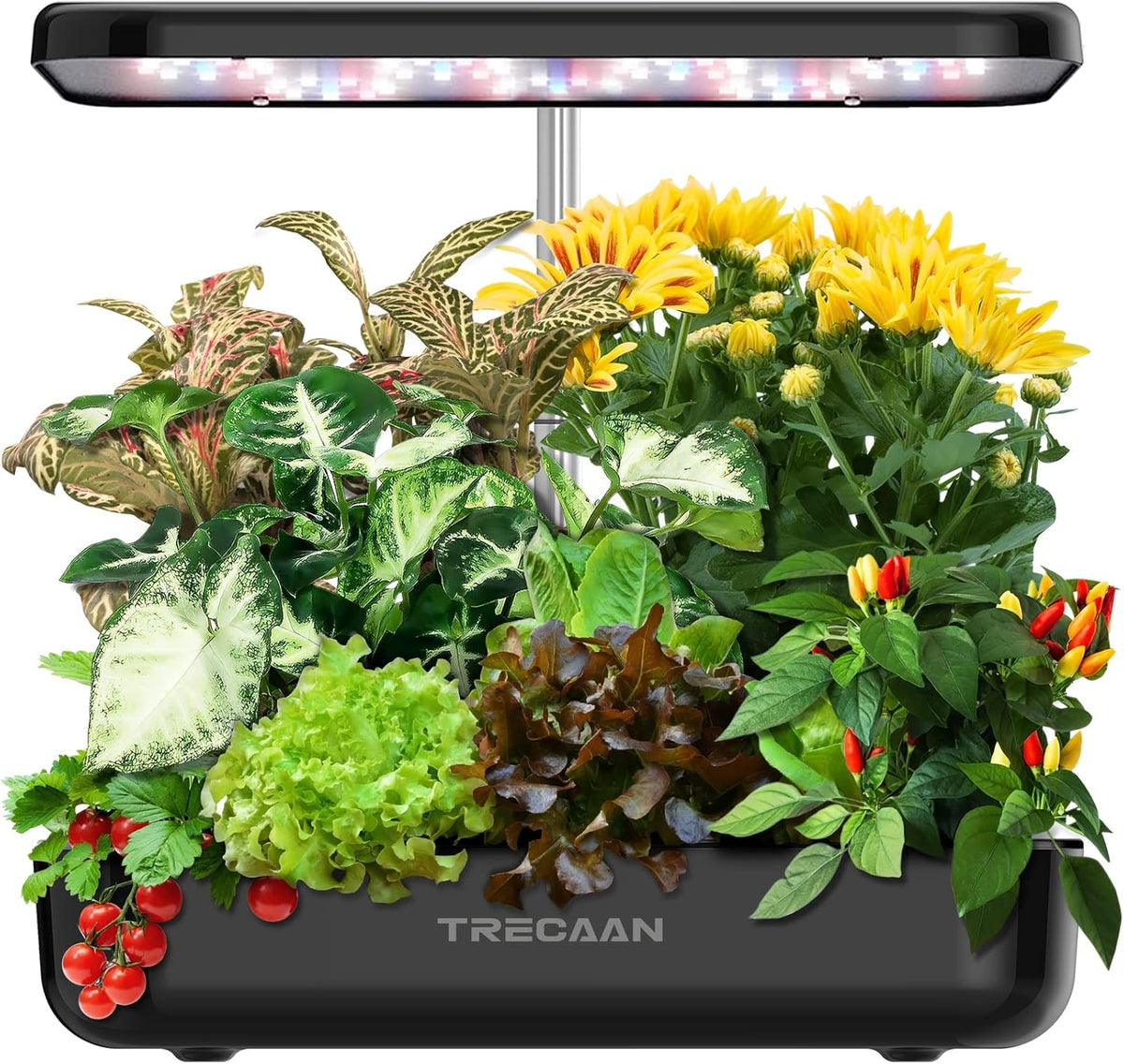 15 Pods Hydroponic Growing System Black K844121