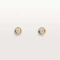 Earrings W960