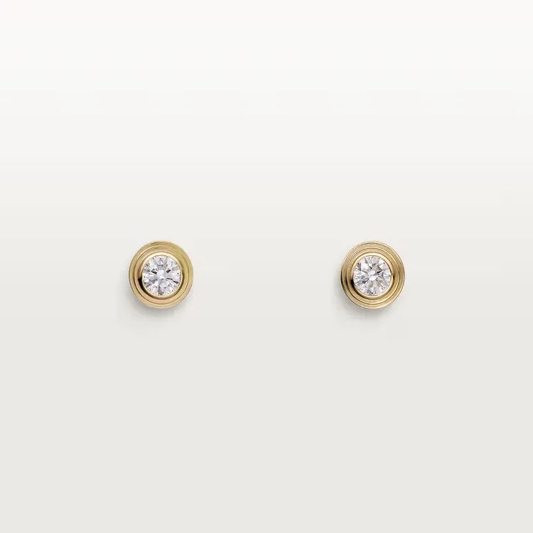 Earrings W960