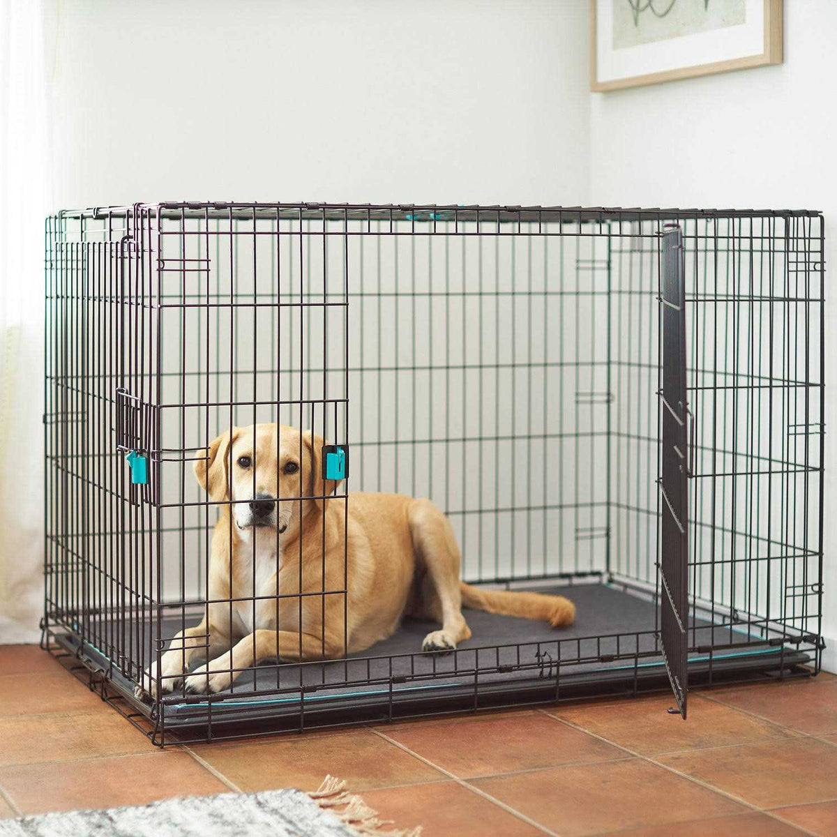 Wire Dog Crate Mat Kit X820812