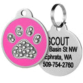 Stainless Steel Personalized Dog & Cat ID Tag D521
